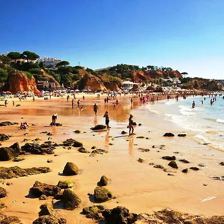 Bravo Albufeira
